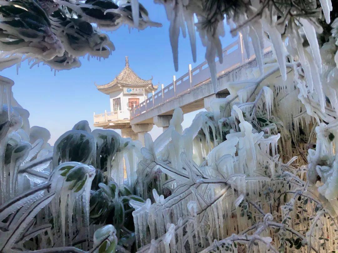 牛油果面包